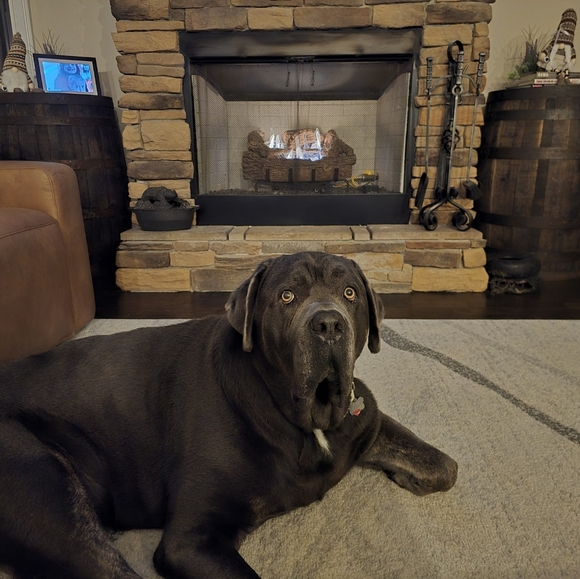 Meet your Posher, Sherry! LIKE TO BE NOTIFIED OF LIVE SHOWS 😊 - Picture 8 of 10